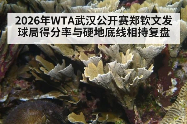 2026年WTA武汉公开赛郑钦文发球局得分率与硬地底线相持复盘